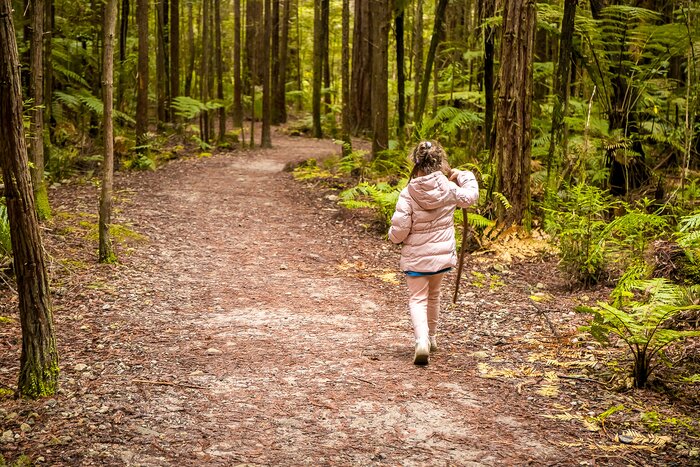 Exploring the forests of Rotorua