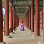 Explore the corridors of Gyeongbokgung in Seoul on this 13-day tour of South Korea and Japan