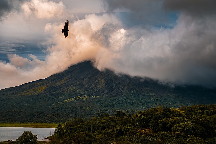 Lake Arenal Sunset Cruise with Wine & Cheese