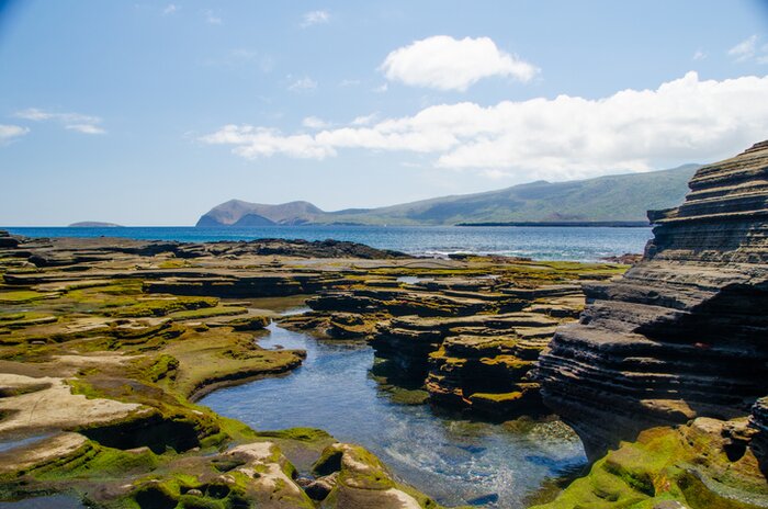 Hop between three islands in the Galápagos