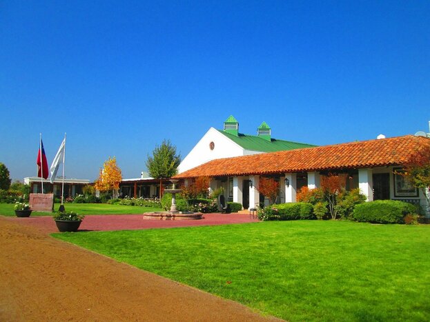 Visit Viña Casas Del Bosque -Wine Tasting & Lunch