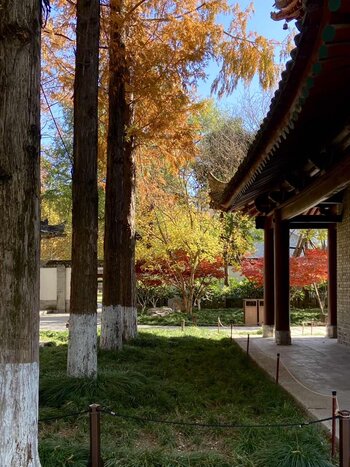 Xi'an Museaum and Small Wild Goose Pagoda