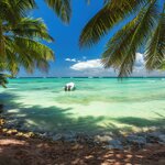 Take a boat trip to Saona Island while staying in Bayahibe