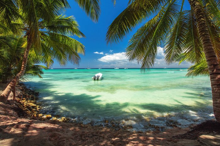 Take a boat trip to Saona Island while staying in Bayahibe