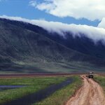 Go on a safari adventure inside Ngorongoro Crater, the world's largest volcanic caldera