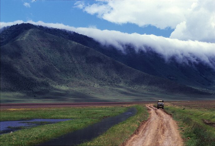 Go on a safari adventure inside Ngorongoro Crater, the world's largest volcanic caldera