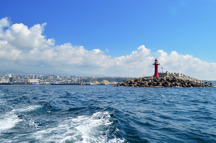 Half Day Horseback Riding and Kayaking Experience