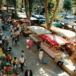 Gourmet Food & Wine Tour in Bordeaux