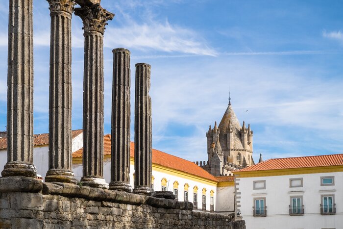 Private City Walk & Wine Experience