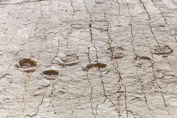 Cal Orcko Dinosaur Tracks and Cayara Hotel Museum