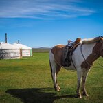 Ride horses through the untouched Altai Mountains