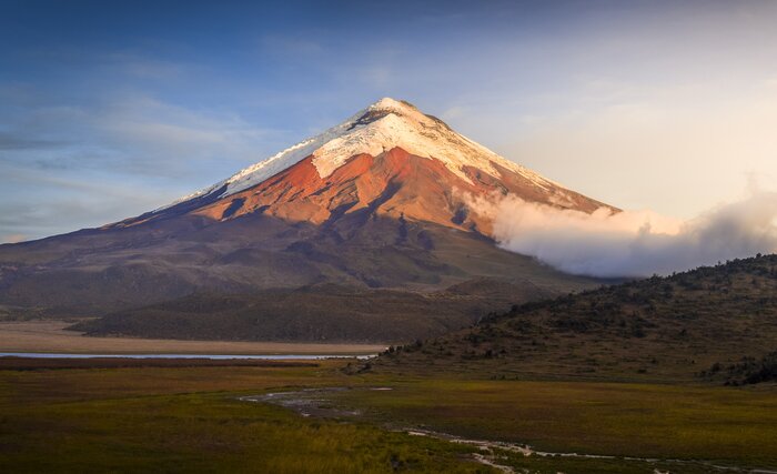 Spot wild horses in Cotopaxi National Park