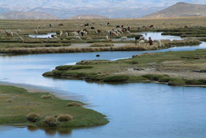Private Colca Canyon +Transfer  to Puno 1/3 