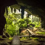 Spend your last full day of the trip exploring Malaysia's Niah National Park