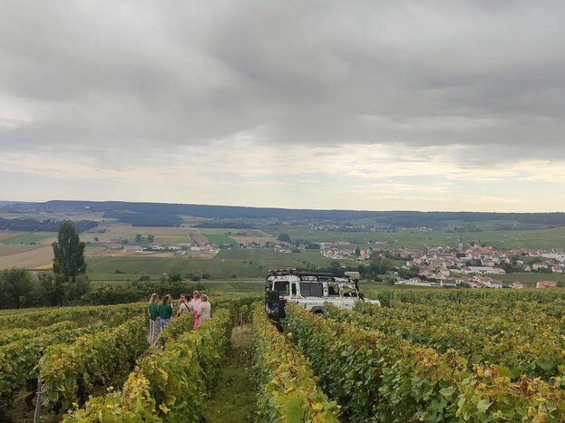 Panoramic tour with a local guide