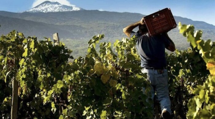 Mt. Etna Tour on a 4x4 Jeep with Lunch & Wine Tasting at a Local Winery 