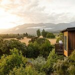 Experience the verdant beauty of Kaikōura in style from a treetop luxury cabin (photo courtesy of Hapuku Lodge and Tree Houses)