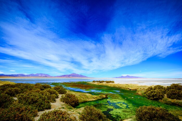 Explore desert lakes in Chile's remote Atacama Desert