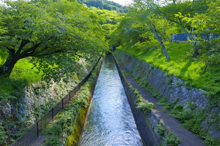 Cycle around key sections of Lake Biwa including charming canals