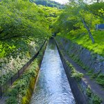 Cycle around key sections of Lake Biwa including charming canals