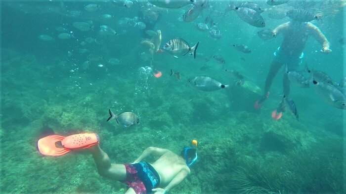 Tabarca Snorkeling Excursion