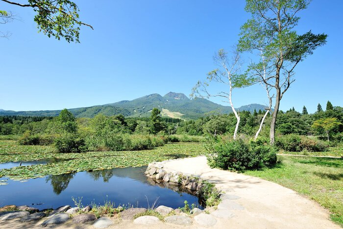 From Scenic Walks to Soba Making: A Cultural Day in Togakushi with Temple Inn Stay