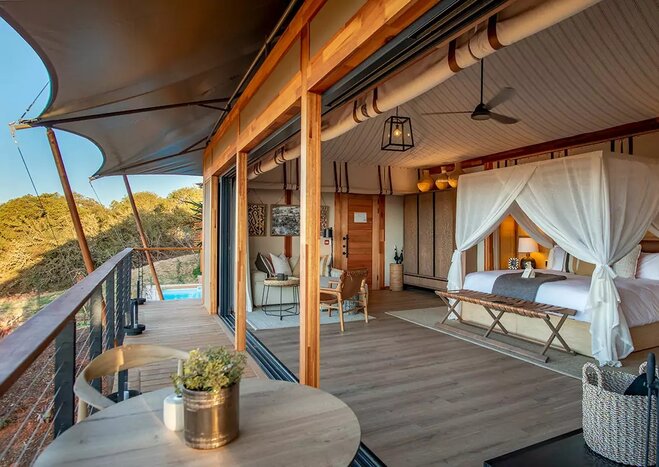 Get up close to impressive wildlife at luxury South African lodges (photo courtesy of Sindile at Shamwari))