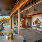 Get up close to impressive wildlife at luxury South African lodges (photo courtesy of Sindile at Shamwari))