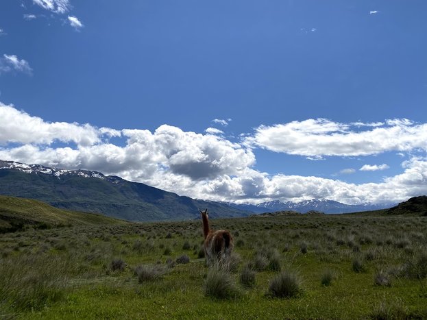 Horseback Riding in Patagonia