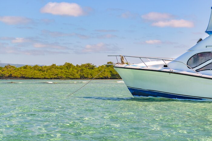 Drop anchor in the pristine waters off Isla Isabela