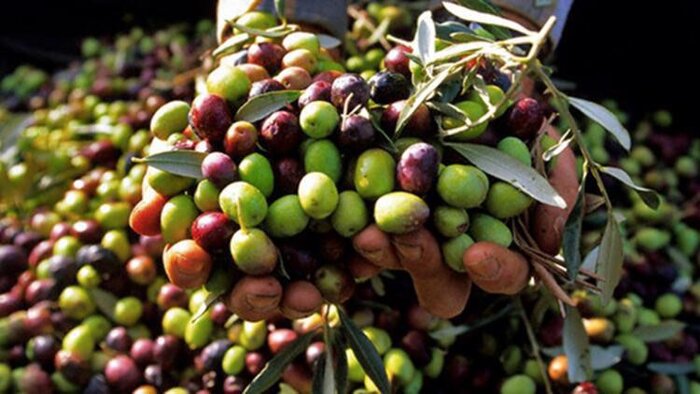 Private Naxian Family Farm Experience & Wood-Fire Cooking Lesson