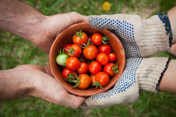Private Cooking Class in a Real Tuscan Farmhouse