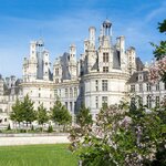 Explore the 16th-century Château de Chambord at your own pace
