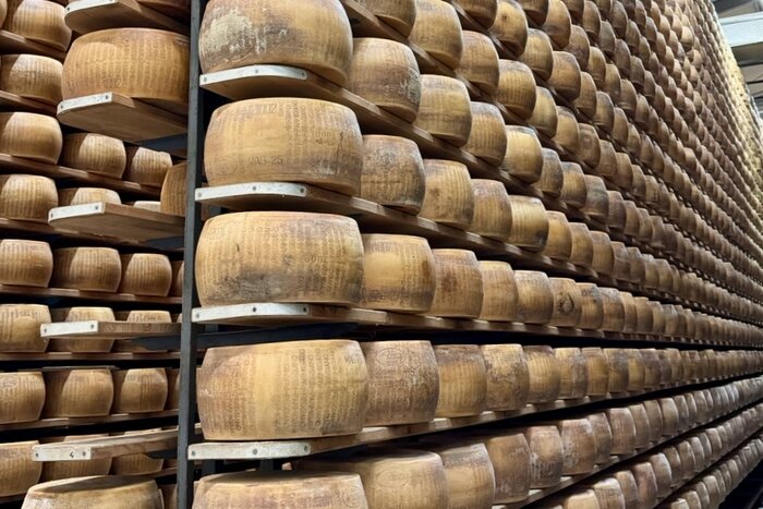 Flavors of Modena: Cheese & Balsamic Experience