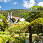 A view throught the palms to a historic church in Ponta Delgada