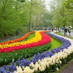 View from above the Netherlands