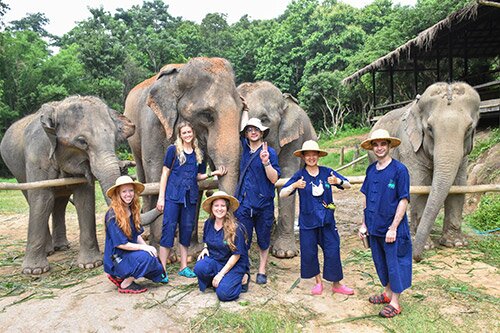 Chiang Mai – Elephant Jungle Sanctuary Tour