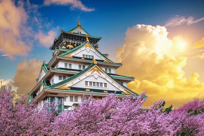 Osaka Castle With Cherry Blossoms at Sunset, Osaka, Japan