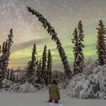  Witness the aurora borealis over Yellowknife