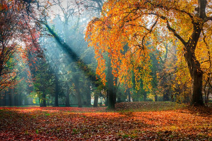 A crisp fall morning in Donji Miholjac's town park