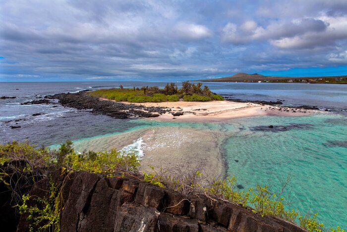 Visit Isla Floreana for the chance to see green sea turtles hatch in May