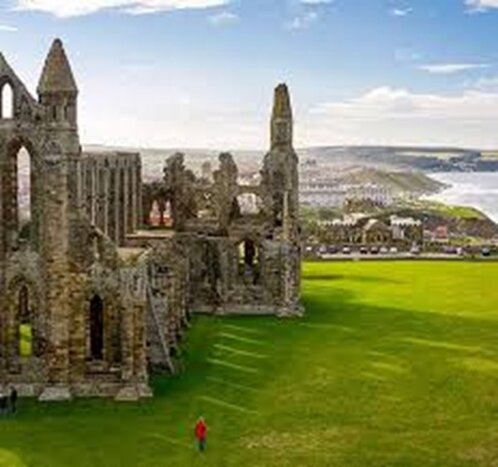 Full-Day Whitby and The North York Moors Private Tour from York