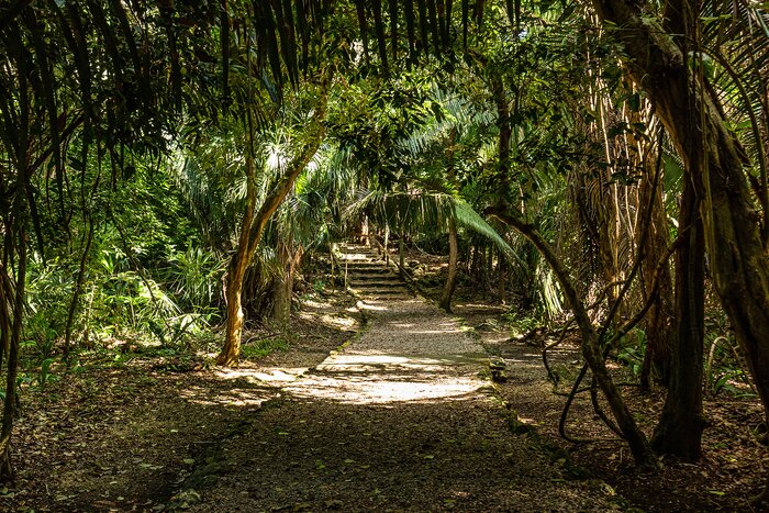 Visit the Lamanai Mayan Ruins in Belize