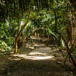 Visit the Lamanai Mayan Ruins in Belize