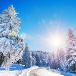 Explore the Alpine highlights of France and Switzerland on this winter tour