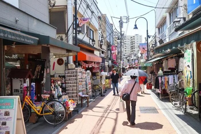 Yanaka Historical Walking Tour in Tokyo's Old Town