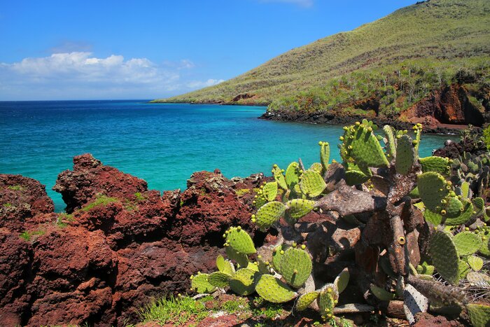See the Mars-like red shores in the Galápagos National Park on Isla Rábida in August