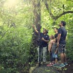 Hiking in Costa Rica