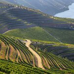 Winding road through the Douro Valley