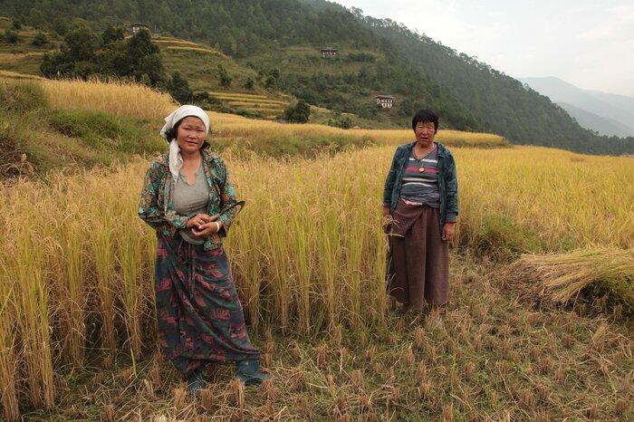 Punakha - Chorten Nebu hike 